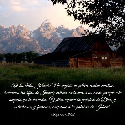 Picture 03 - 1 Reyes 12:24 RVA - Así ha dicho Jehová: No vayáis, ni peleéis - Bible Verse Picture