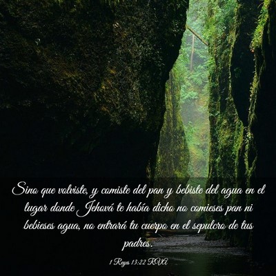 Picture 03 - 1 Reyes 13:22 RVA - Sino que volviste, y comiste del pan y bebiste - Bible Verse Picture