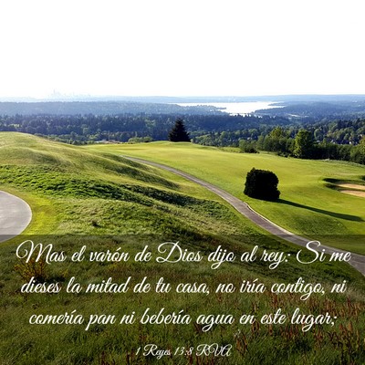 Picture 03 - 1 Reyes 13:8 RVA - Mas el varón de Dios dijo al rey: Si me dieses - Bible Verse Picture
