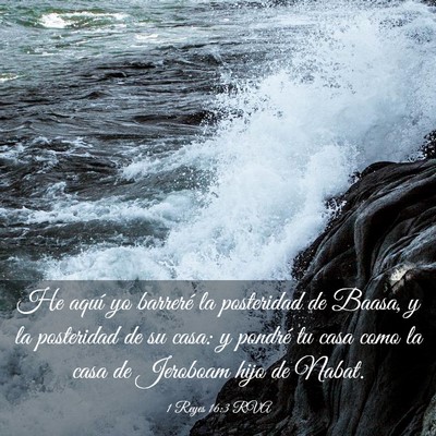 Picture 03 - 1 Reyes 16:3 RVA - He aquí yo barreré la posteridad de Baasa, y la - Bible Verse Picture