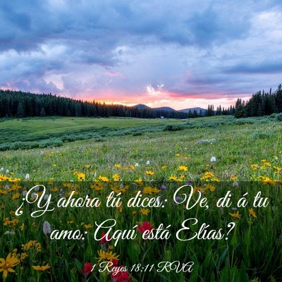Picture 03 - 1 Reyes 18:11 RVA - ¿Y ahora tú dices: Ve, di á tu amo: Aquí - Bible Verse Picture