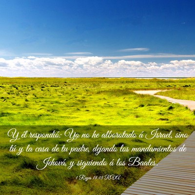 Picture 03 - 1 Reyes 18:18 RVA - Y él respondió: Yo no he alborotado á Israel, - Bible Verse Picture