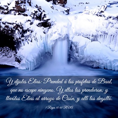 Picture 03 - 1 Reyes 18:40 RVA - Y díjoles Elías: Prended á los profetas de - Bible Verse Picture