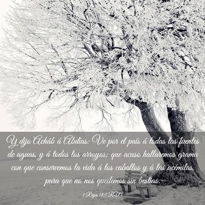 Picture 03 - 1 Reyes 18:5 RVA - Y dijo Achâb á Abdías: Ve por el país á - Bible Verse Picture