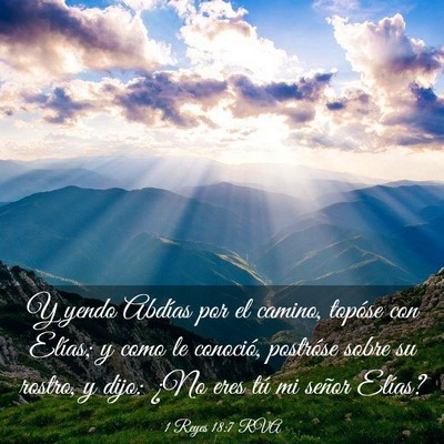 Picture 03 - 1 Reyes 18:7 RVA - Y yendo Abdías por el camino, topóse con - Bible Verse Picture