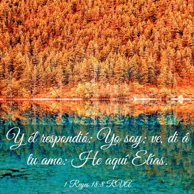 Picture 03 - 1 Reyes 18:8 RVA - Y él respondió: Yo soy; ve, di á tu amo: He - Bible Verse Picture