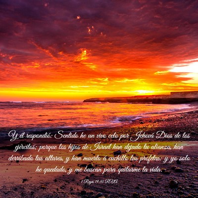 Picture 03 - 1 Reyes 19:10 RVA - Y él respondió: Sentido he un vivo celo por - Bible Verse Picture