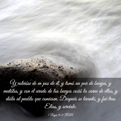 Picture 03 - 1 Reyes 19:21 RVA - Y volvióse de en pos de él, y tomó un par de - Bible Verse Picture