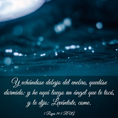 Picture 03 - 1 Reyes 19:5 RVA - Y echándose debajo del enebro, quedóse dormido: - Bible Verse Picture