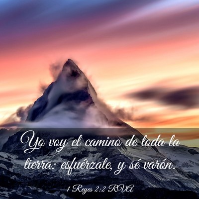 Picture 03 - 1 Reyes 2:2 RVA - Yo voy el camino de toda la tierra: esfuérzate, - Bible Verse Picture