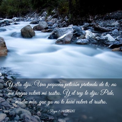 Picture 03 - 1 Reyes 2:20 RVA - Y ella dijo: Una pequeña petición pretendo de - Bible Verse Picture
