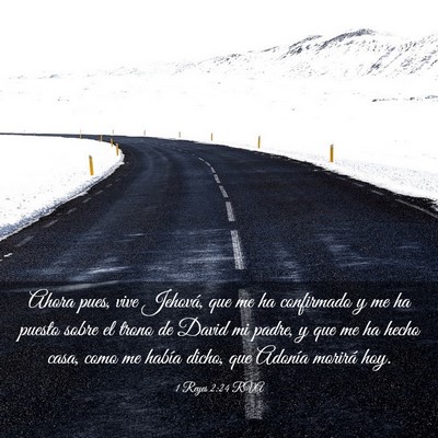 Picture 03 - 1 Reyes 2:24 RVA - Ahora pues, vive Jehová, que me ha confirmado y - Bible Verse Picture