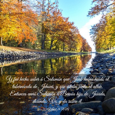 Picture 03 - 1 Reyes 2:29 RVA - Y fué hecho saber á Salomón que Joab había - Bible Verse Picture