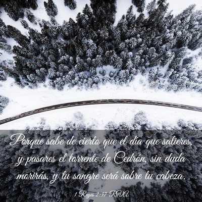 Picture 03 - 1 Reyes 2:37 RVA - Porque sabe de cierto que el día que salieres, y - Bible Verse Picture