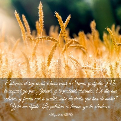 Picture 03 - 1 Reyes 2:42 RVA - Entonces el rey envió, é hizo venir á Semei, y - Bible Verse Picture