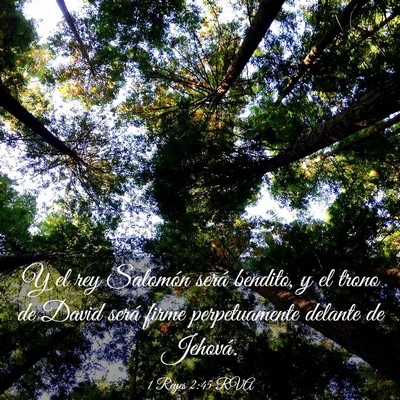 Picture 03 - 1 Reyes 2:45 RVA - Y el rey Salomón será bendito, y el trono de - Bible Verse Picture