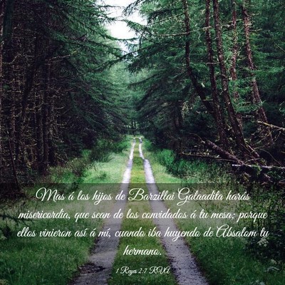 Picture 03 - 1 Reyes 2:7 RVA - Mas á los hijos de Barzillai Galaadita harás - Bible Verse Picture