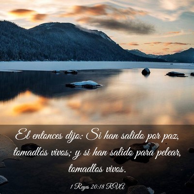 Picture 03 - 1 Reyes 20:18 RVA - El entonces dijo: Si han salido por paz, tomadlos - Bible Verse Picture