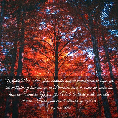 Picture 03 - 1 Reyes 20:34 RVA - Y díjole Ben-adad: Las ciudades que mi padre - Bible Verse Picture