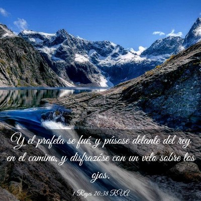 Picture 03 - 1 Reyes 20:38 RVA - Y el profeta se fué, y púsose delante del rey - Bible Verse Picture