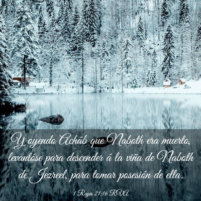 Picture 03 - 1 Reyes 21:16 RVA - Y oyendo Achâb que Naboth era muerto, levantóse - Bible Verse Picture