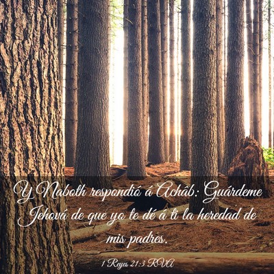 Picture 03 - 1 Reyes 21:3 RVA - Y Naboth respondió á Achâb: Guárdeme Jehová - Bible Verse Picture