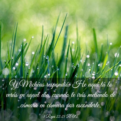 Picture 03 - 1 Reyes 22:25 RVA - Y Michêas respondió: He aquí tú lo verás en - Bible Verse Picture
