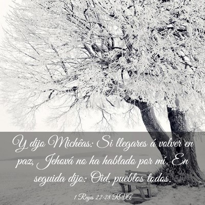 Picture 03 - 1 Reyes 22:28 RVA - Y dijo Michêas: Si llegares á volver en paz, - Bible Verse Picture