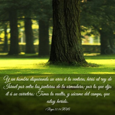Picture 03 - 1 Reyes 22:34 RVA - Y un hombre disparando su arco á la ventura, - Bible Verse Picture