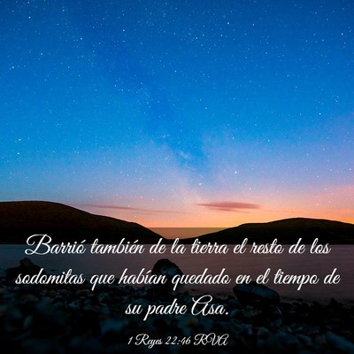 Picture 03 - 1 Reyes 22:46 RVA - Barrió también de la tierra el resto de los - Bible Verse Picture