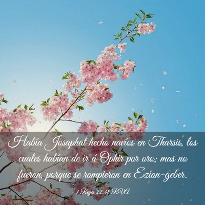 Picture 03 - 1 Reyes 22:48 RVA - Había Josaphat hecho navíos en Tharsis, los - Bible Verse Picture