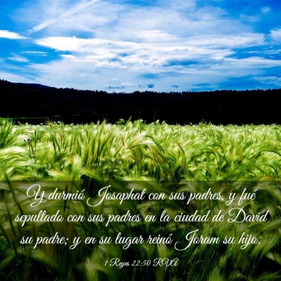 Picture 03 - 1 Reyes 22:50 RVA - Y durmió Josaphat con sus padres, y fué - Bible Verse Picture