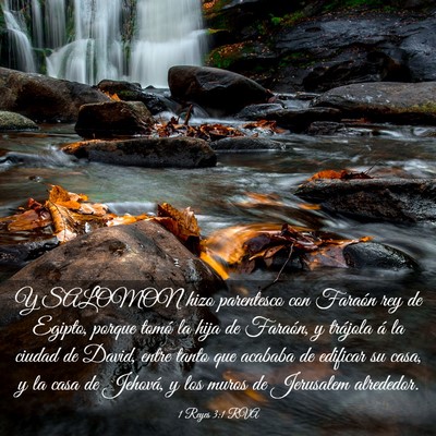 Picture 03 - 1 Reyes 3:1 RVA - Y SALOMON hizo parentesco con Faraón rey de - Bible Verse Picture