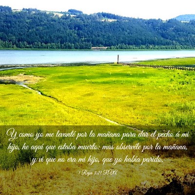 Picture 03 - 1 Reyes 3:21 RVA - Y como yo me levanté por la mañana para dar el - Bible Verse Picture