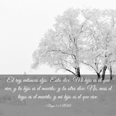Picture 03 - 1 Reyes 3:23 RVA - El rey entonces dijo: Esta dice: Mi hijo es el - Bible Verse Picture