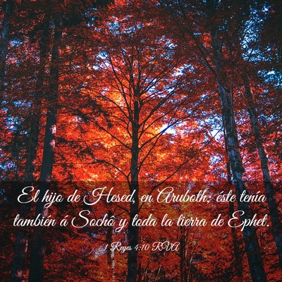 Picture 03 - 1 Reyes 4:10 RVA - El hijo de Hesed, en Aruboth; éste tenía - Bible Verse Picture