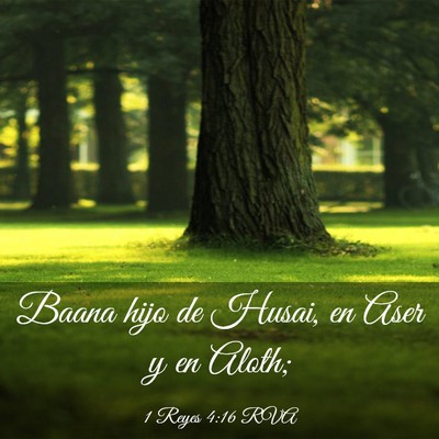 Picture 03 - 1 Reyes 4:16 RVA - Baana hijo de Husai, en Aser y en - Bible Verse Picture