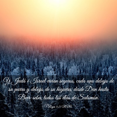 Picture 03 - 1 Reyes 4:25 RVA - Y Judá é Israel vivían seguros, cada uno - Bible Verse Picture