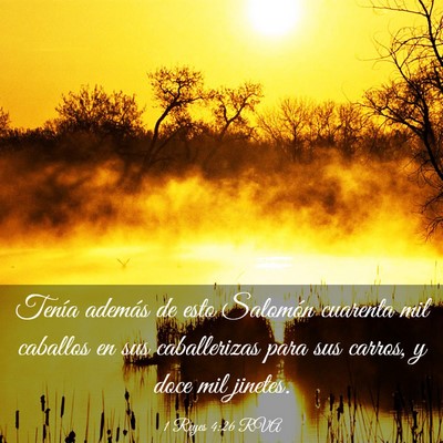 Picture 03 - 1 Reyes 4:26 RVA - Tenía además de esto Salomón cuarenta mil - Bible Verse Picture