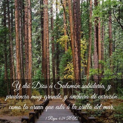 Picture 03 - 1 Reyes 4:29 RVA - Y dió Dios á Salomón sabiduría, y prudencia - Bible Verse Picture
