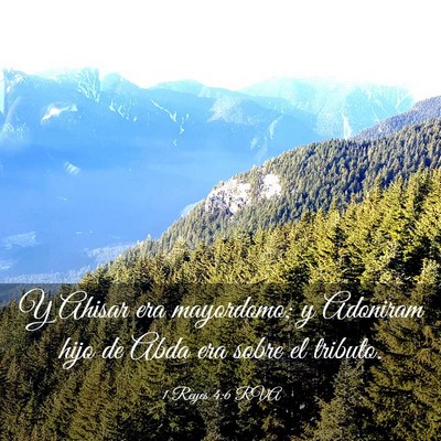 Picture 03 - 1 Reyes 4:6 RVA - Y Ahisar era mayordomo; y Adoniram hijo de Abda - Bible Verse Picture