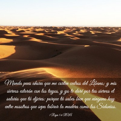Picture 03 - 1 Reyes 5:6 RVA - Manda pues ahora que me corten cedros del - Bible Verse Picture