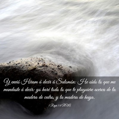 Picture 03 - 1 Reyes 5:8 RVA - Y envió Hiram á decir á Salomón: He oído lo - Bible Verse Picture