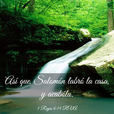 Picture 03 - 1 Reyes 6:14 RVA - Así que, Salomón labró la casa, y - Bible Verse Picture