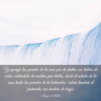 Picture 03 - 1 Reyes 6:15 RVA - Y aparejó las paredes de la casa por de dentro - Bible Verse Picture