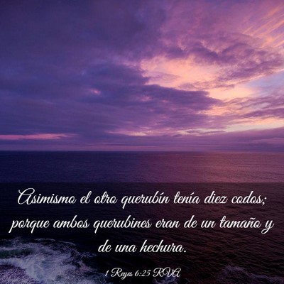 Picture 03 - 1 Reyes 6:25 RVA - Asimismo el otro querubín tenía diez codos; - Bible Verse Picture