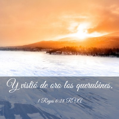 Picture 03 - 1 Reyes 6:28 RVA - Y vistió de oro los - Bible Verse Picture