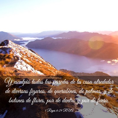 Picture 03 - 1 Reyes 6:29 RVA - Y esculpió todas las paredes de la casa - Bible Verse Picture