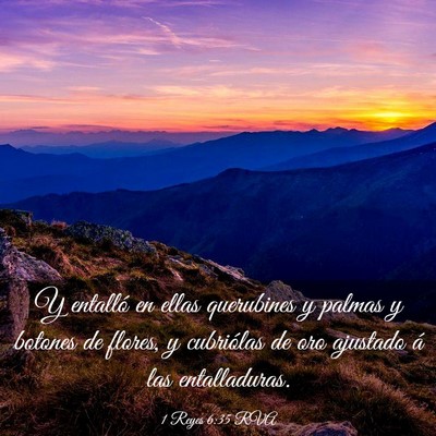 Picture 03 - 1 Reyes 6:35 RVA - Y entalló en ellas querubines y palmas y botones - Bible Verse Picture