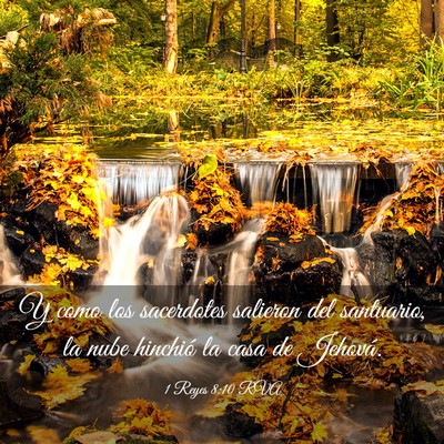 Picture 03 - 1 Reyes 8:10 RVA - Y como los sacerdotes salieron del santuario, la - Bible Verse Picture